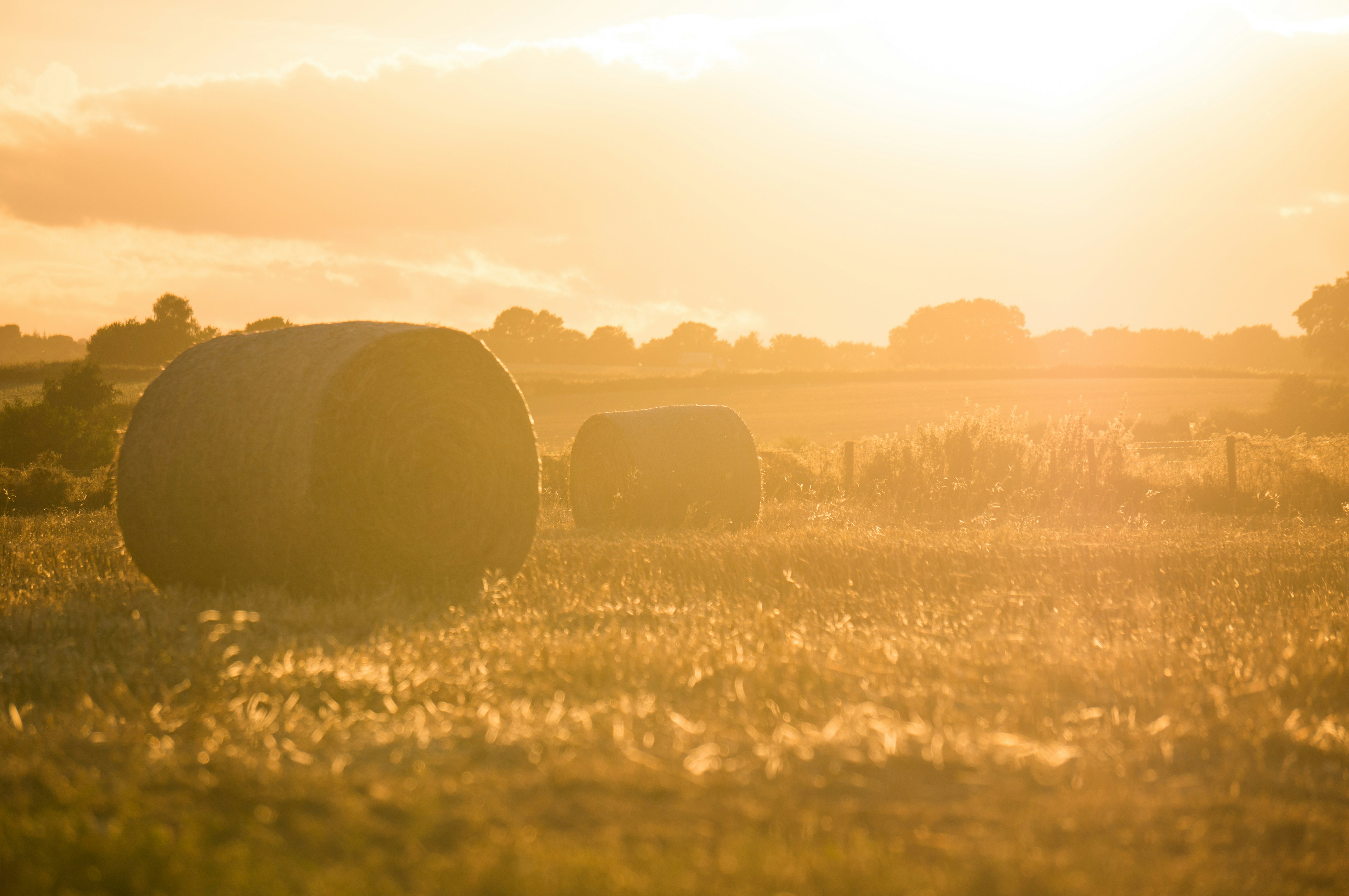 Farms