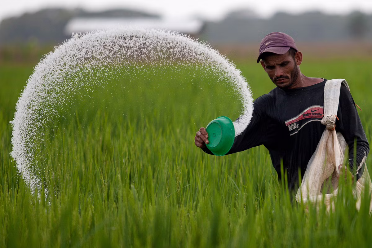fertilizer